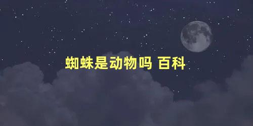 蜘蛛是动物吗 百科